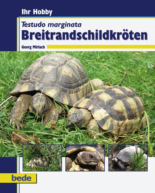 Buchcover: Breitrandschildkröten