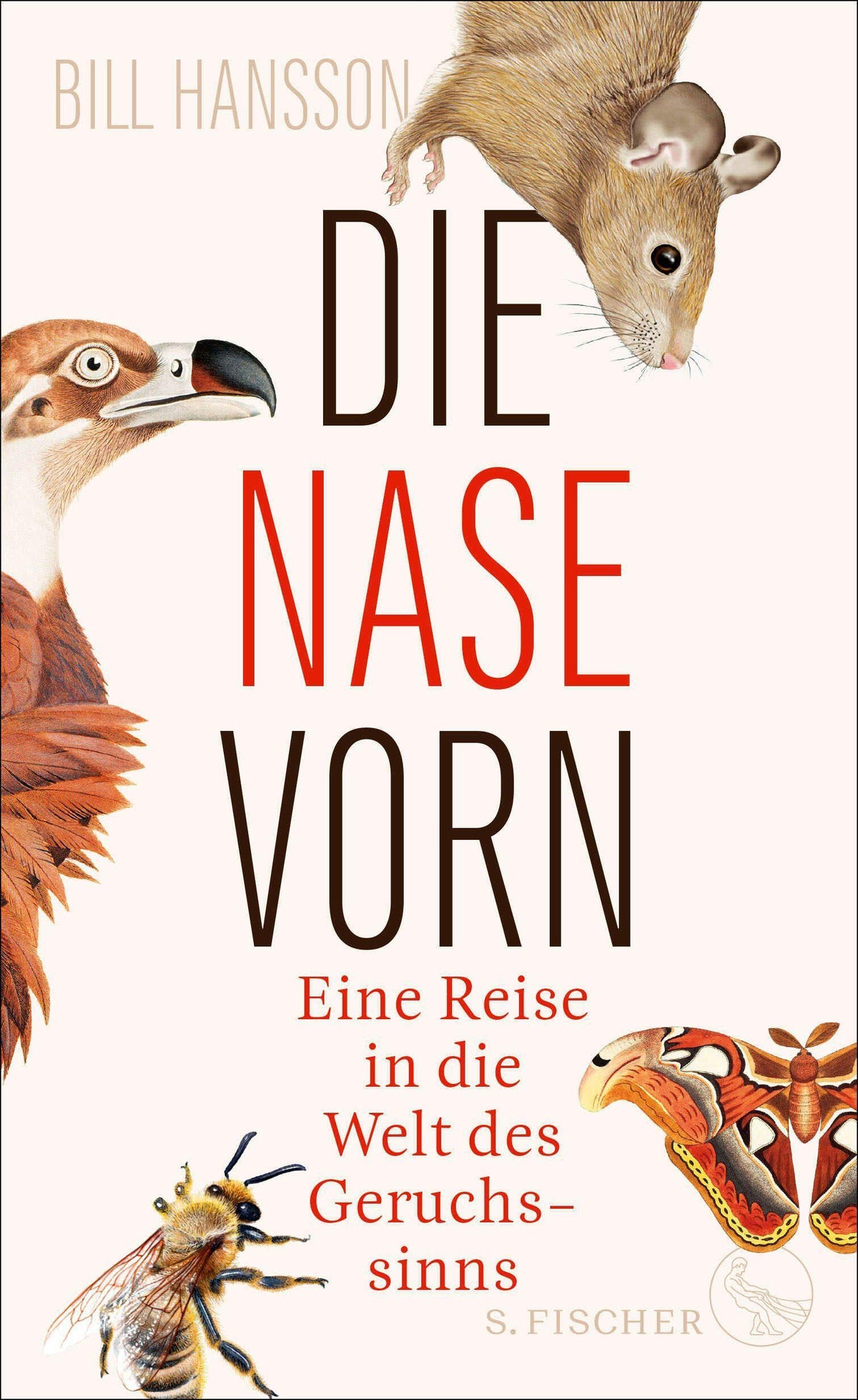 Buchcover: Die Nase vorn