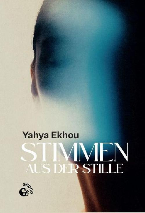 Buchcover: Stimmen aus der Stille