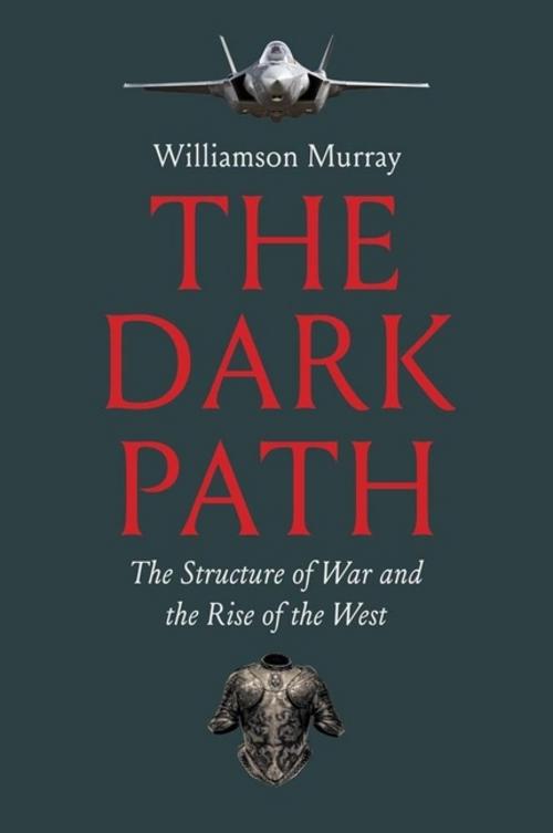 Buchcover: The Dark Path