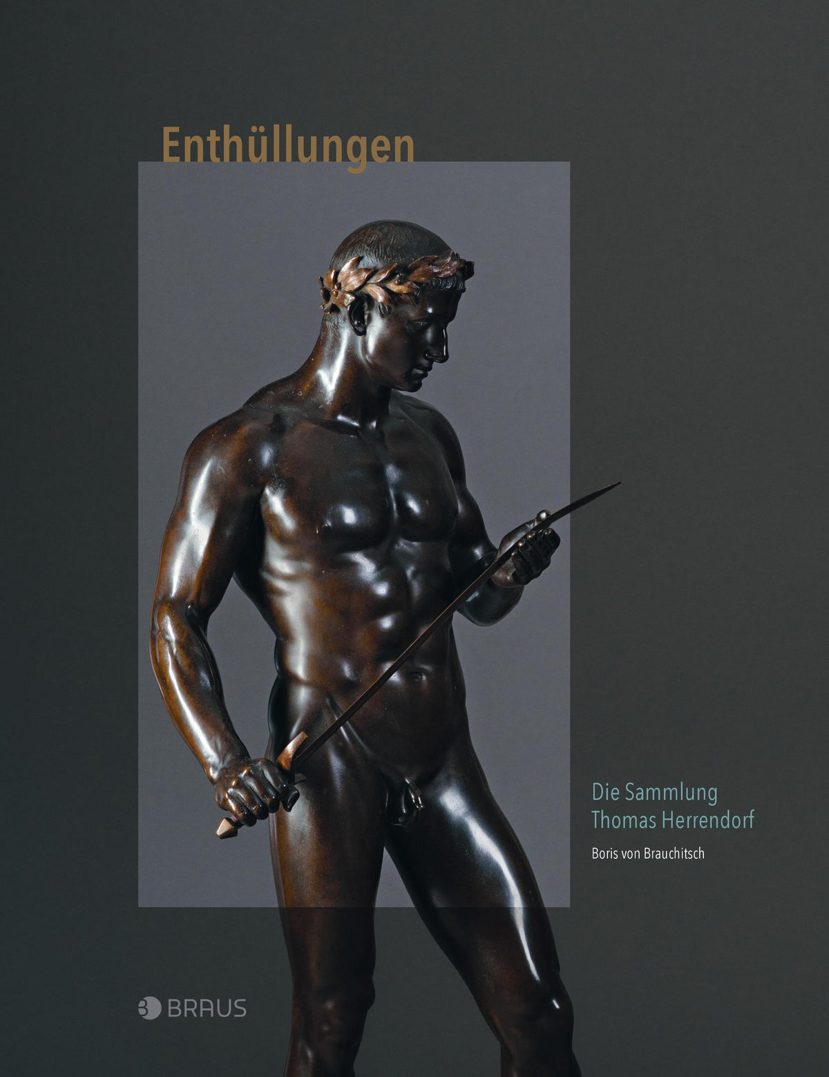 Buchcover: Enthüllungen
