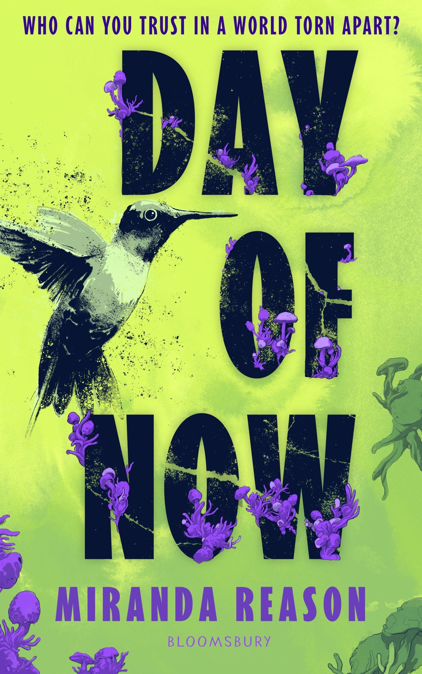 Day of Now