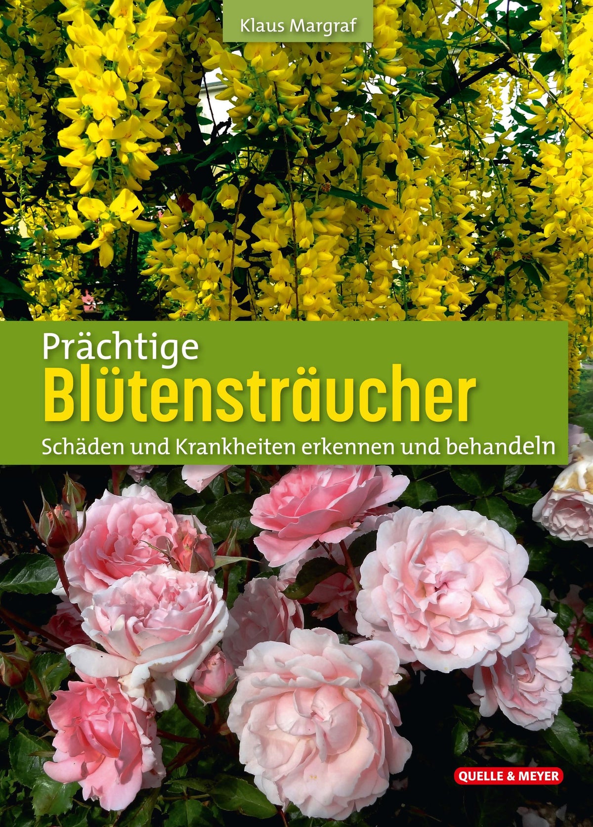 Buchcover: Prächtige Blütensträucher