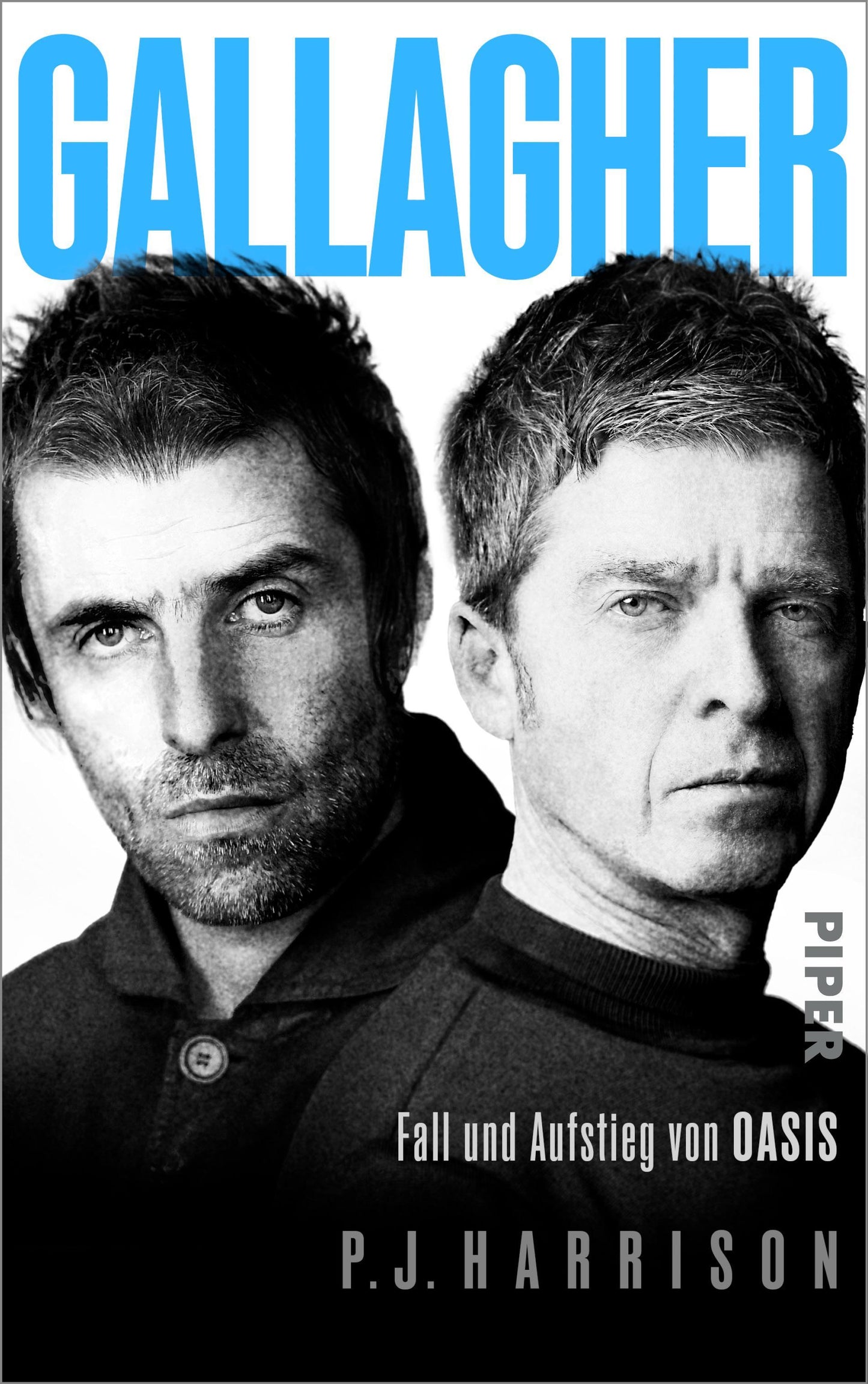 Gallagher: Fall und Aufstieg von Oasis | Die erste deutsche Oasis-Biografie