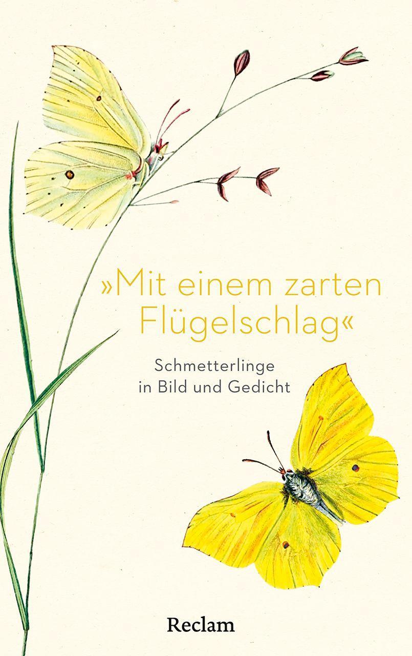 »Mit einem zarten Flügelschlag«