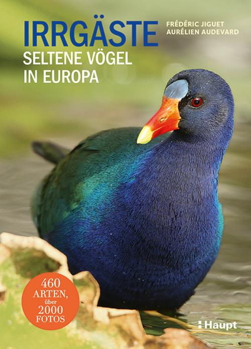 Buchcover: Irrgäste