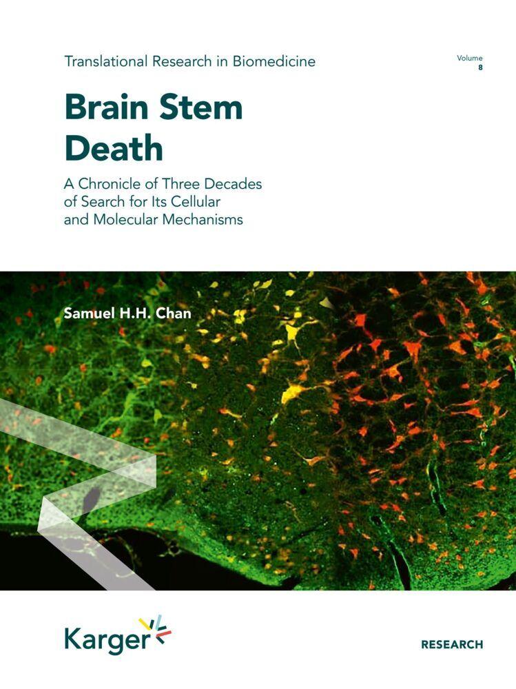 Buchcover: Brain Stem Death