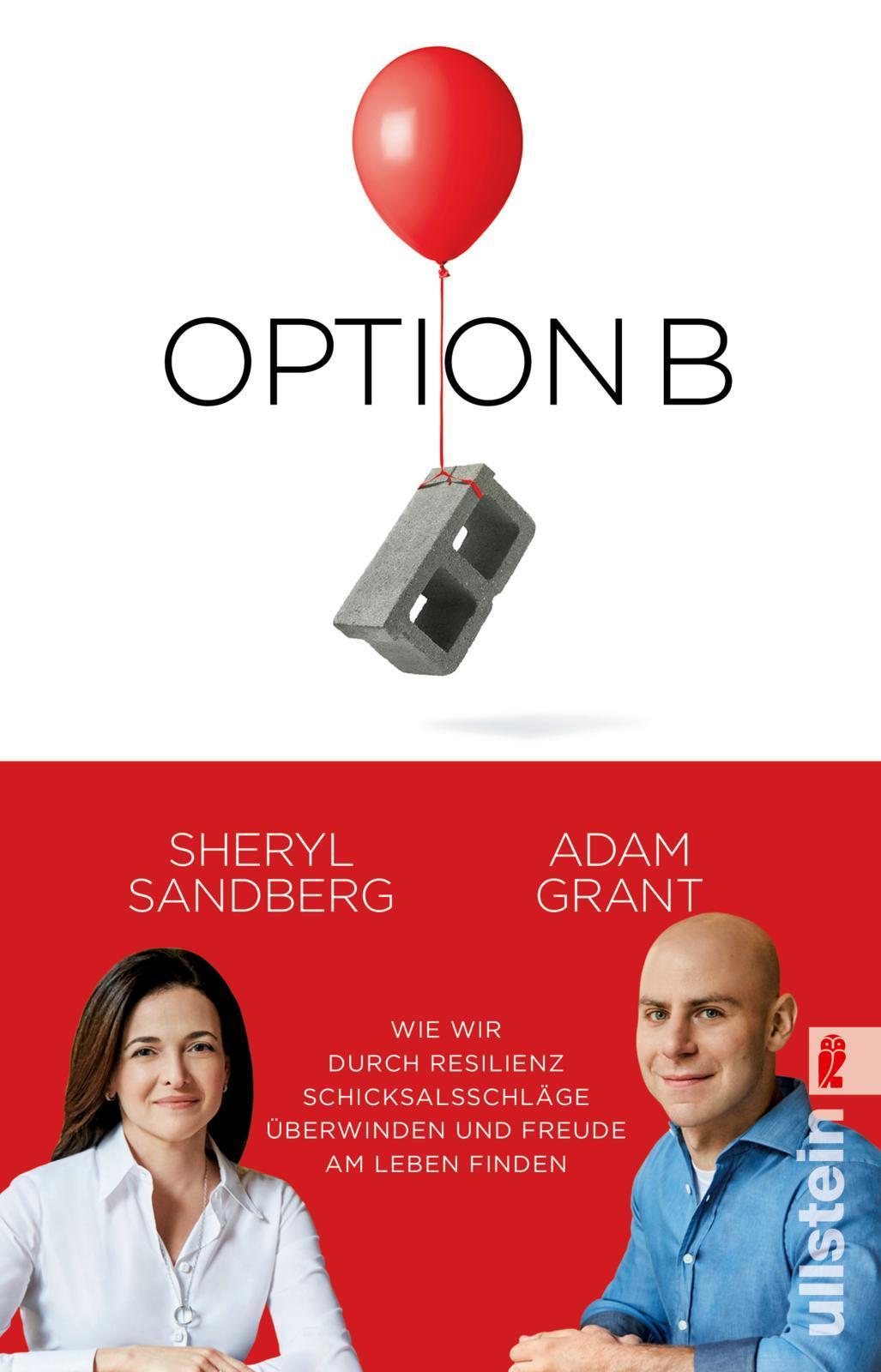 Buchcover: Option B