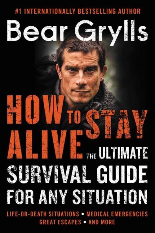 Buchcover: How to Stay Alive