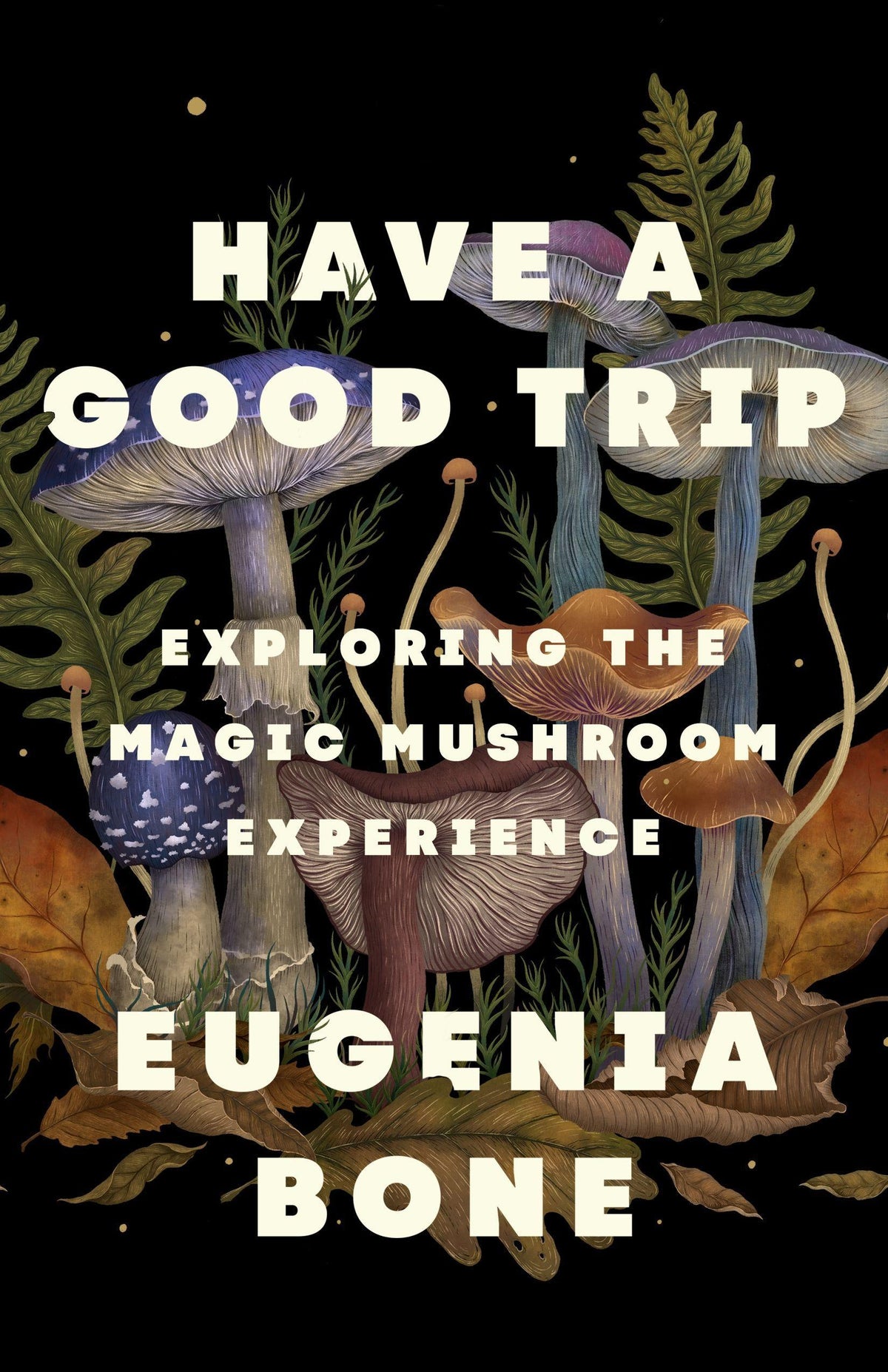 Buchcover: Have a Good Trip