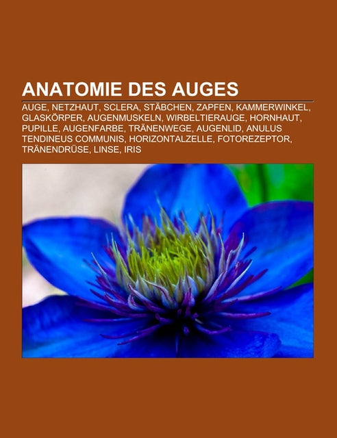 Buchcover: Anatomie des Auges