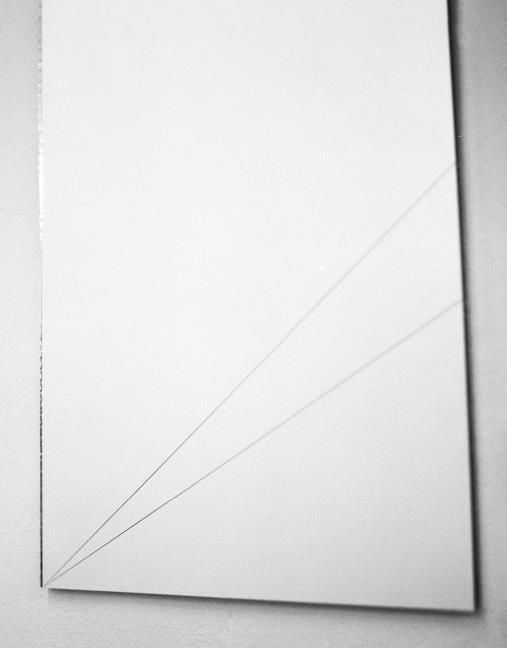 Buchcover: Zx