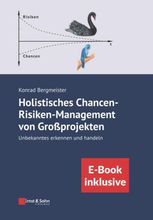 Buchcover: Holistisches Chancen-Risiken-Management von Großprojekten