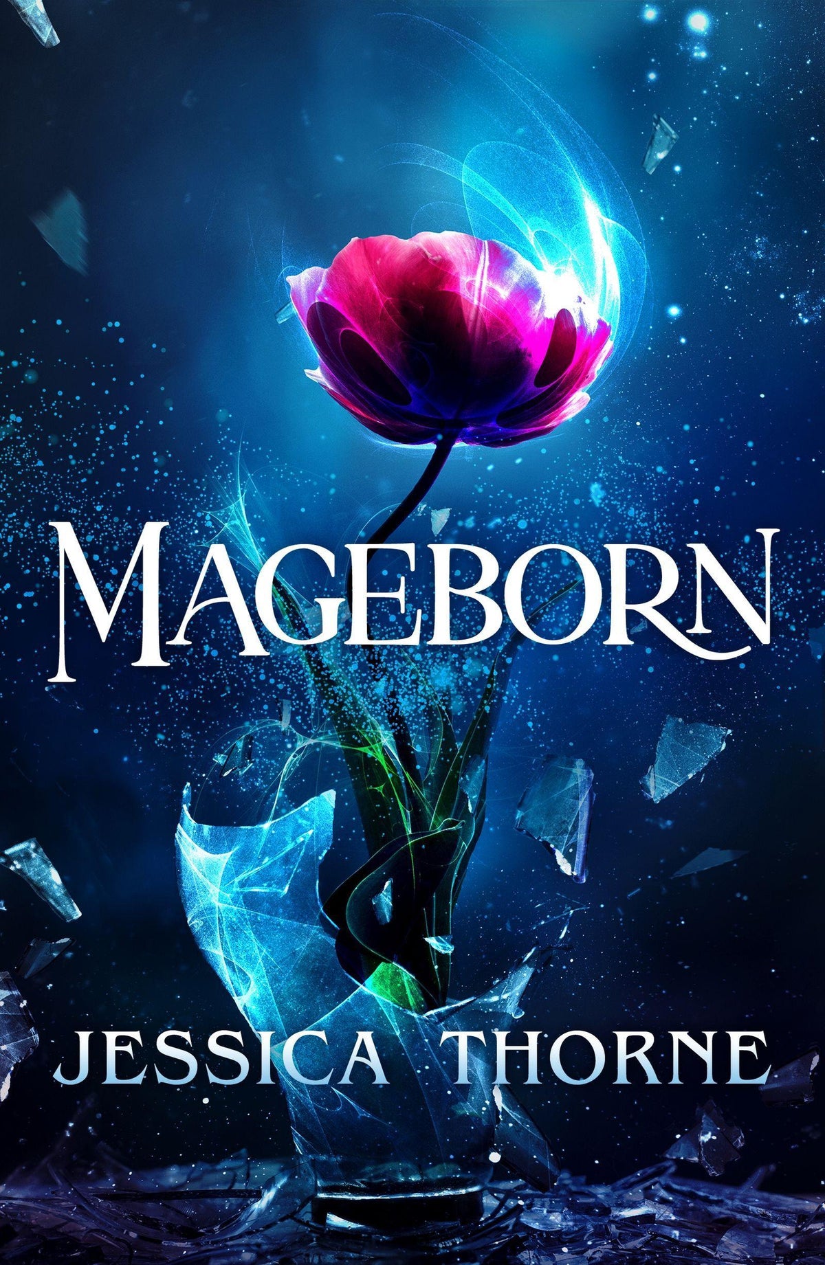 Buchcover: Mageborn