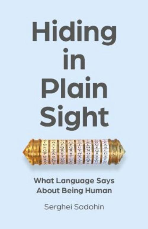 Buchcover: Hiding in Plain Sight