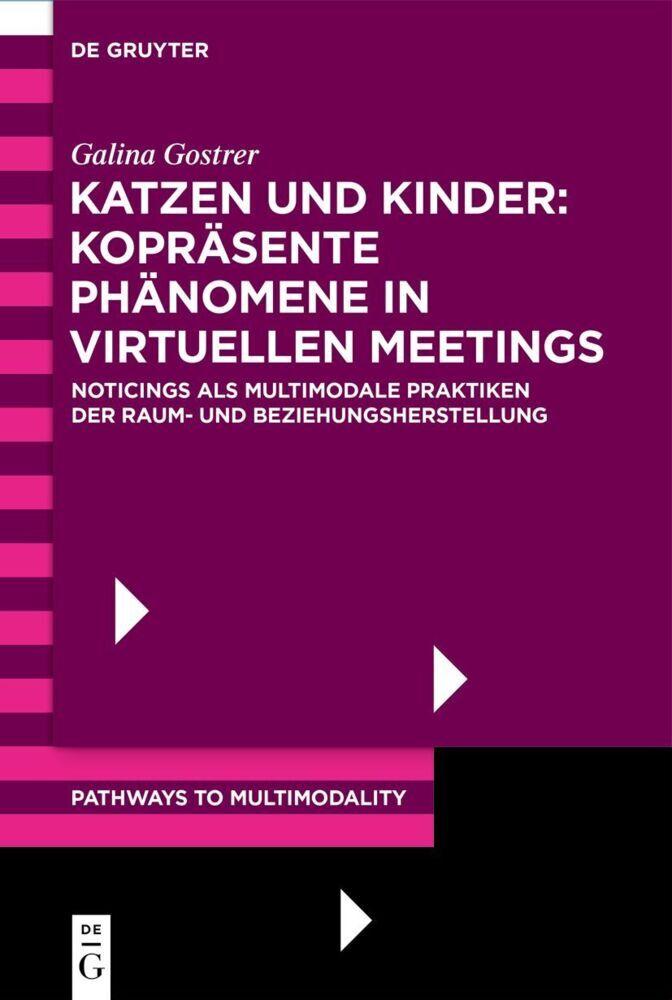 Katzen und Kinder: Kopräsente Phänomene in virtuellen Meetings
