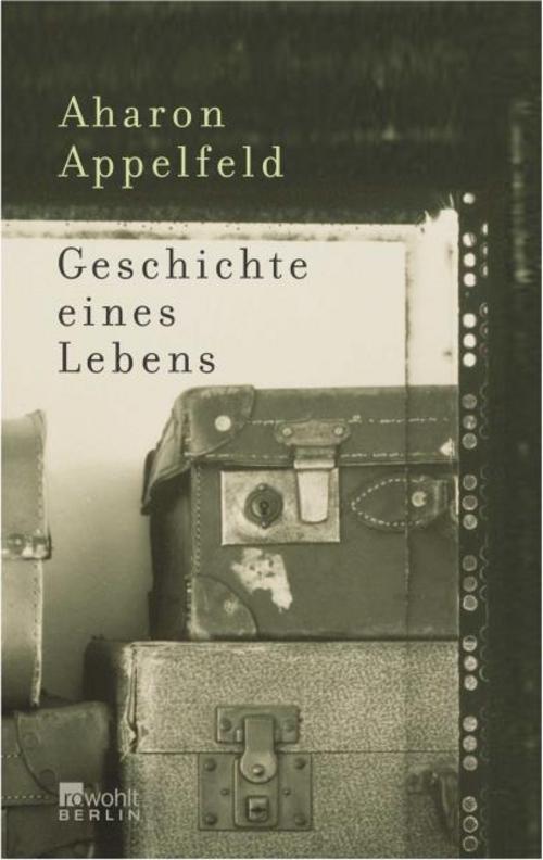 Geschichte eines Lebens