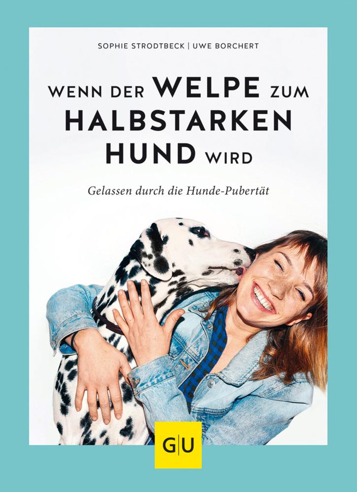 Wenn der Welpe zum halbstarken Hund wird