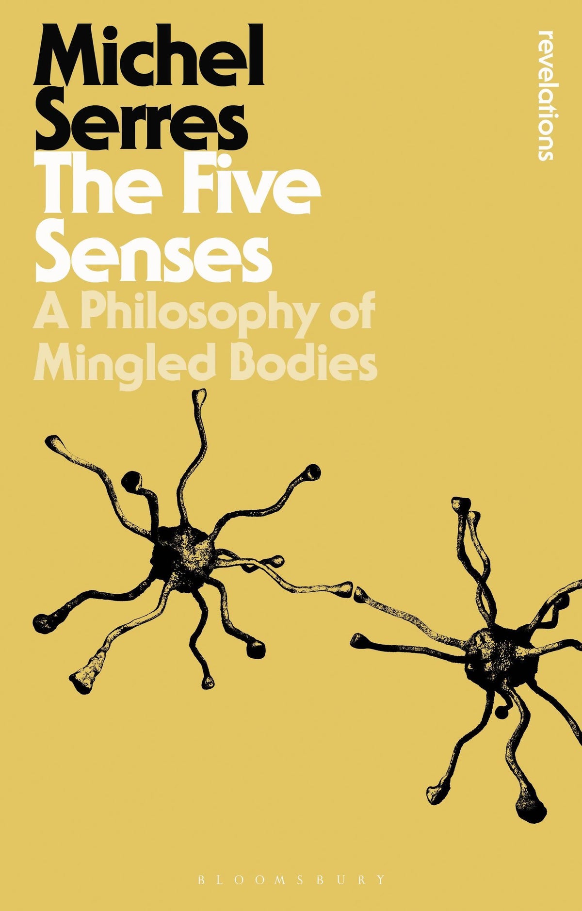 Buchcover: The Five Senses