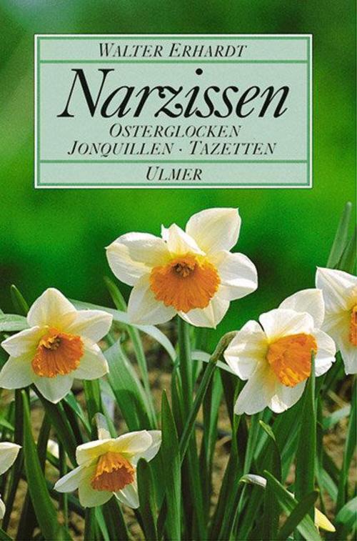 Buchcover: Narzissen