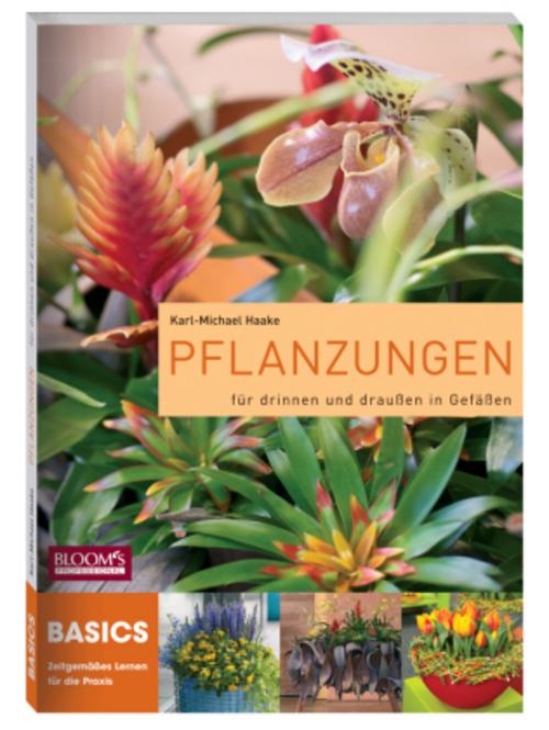 Pflanzungen für drinnen und draußen in Gefäßen