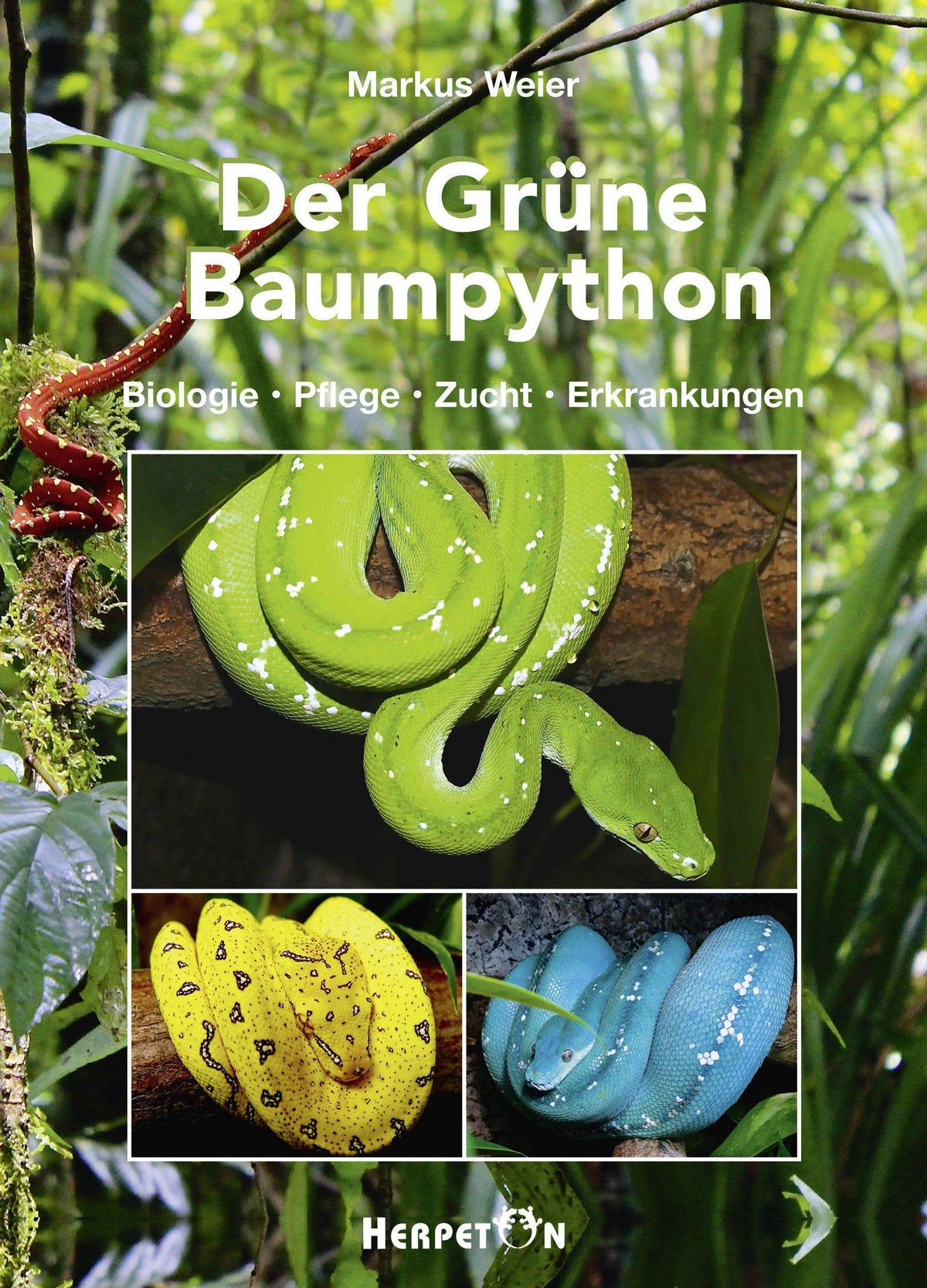 Buchcover: Der Grüne Baumpython