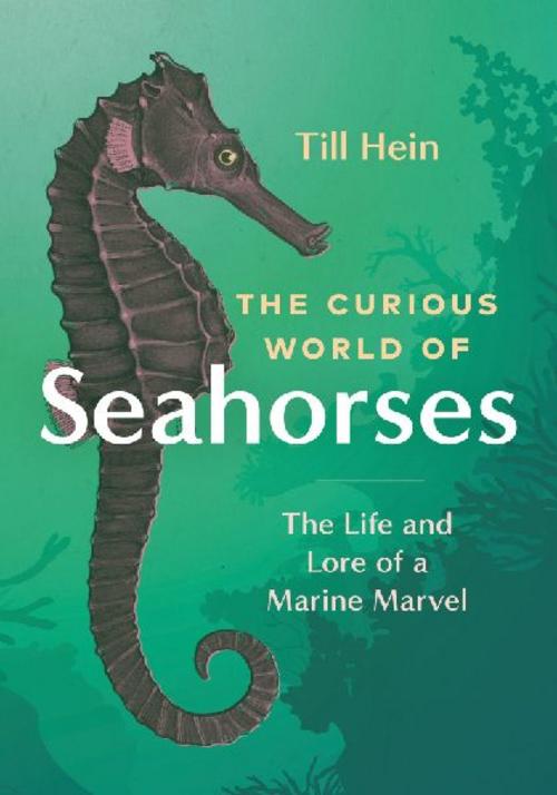 Buchcover: The Curious World of Seahorses