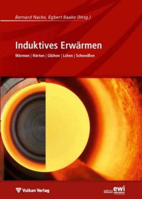 Buchcover: Induktives Erwärmen