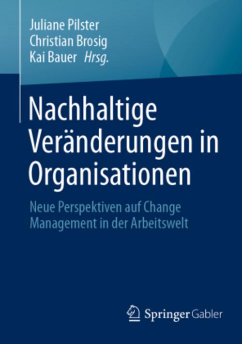 Nachhaltige Veränderungen in Organisationen