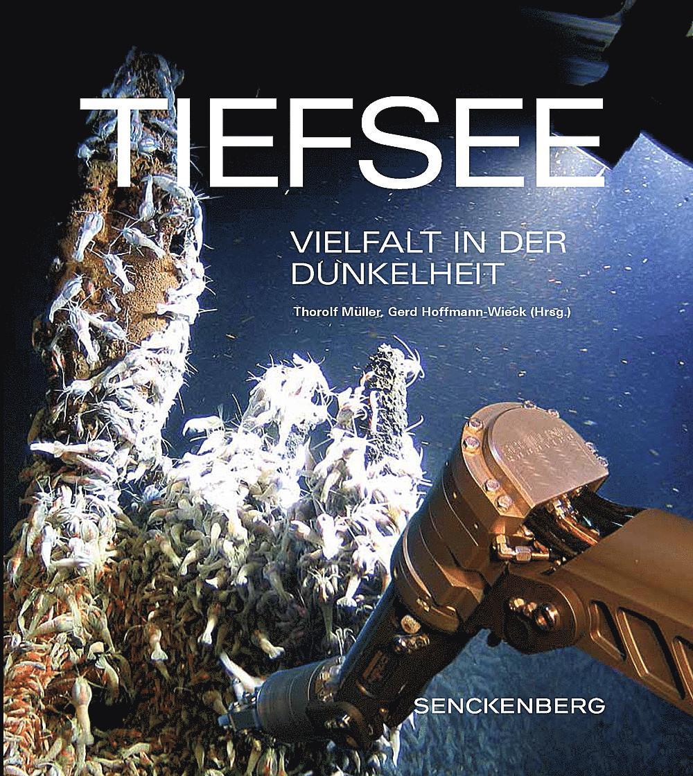 Buchcover: Tiefsee
