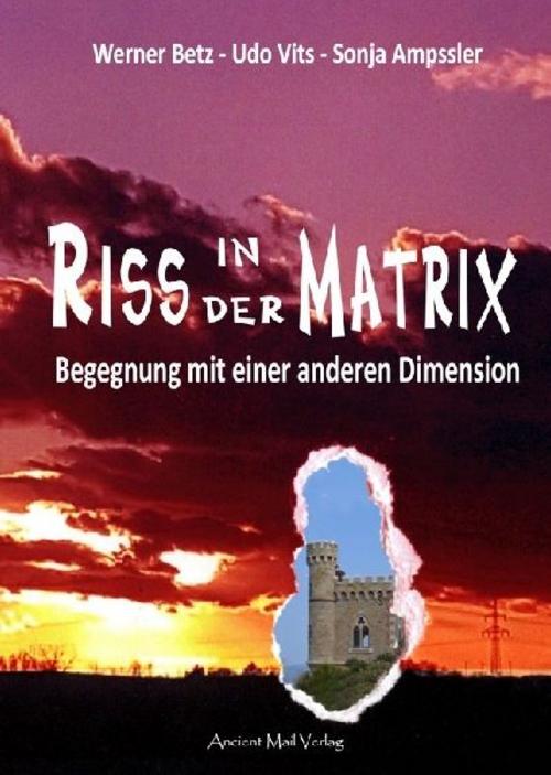 Buchcover: Riss in der Matrix