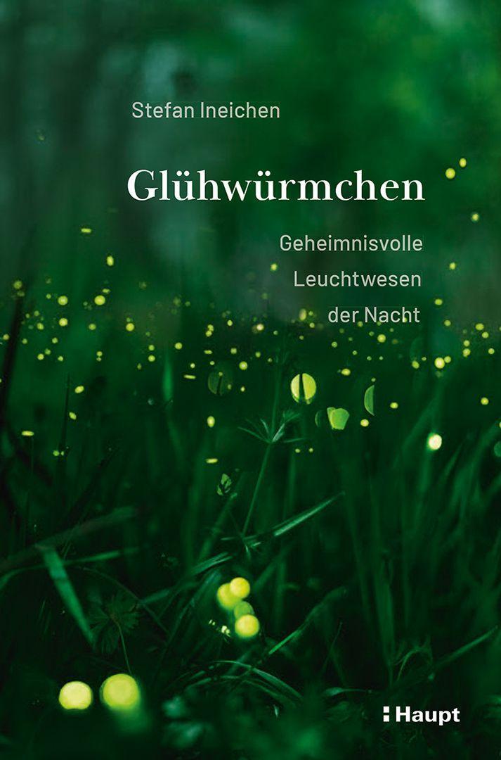 Glühwürmchen: Geheimnisvolle Leuchtwesen der Nacht