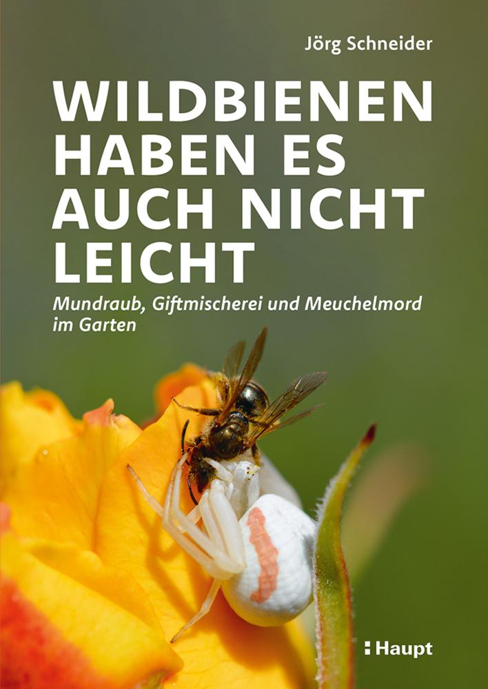 Wildbienen haben es auch nicht leicht: Mundraub, Giftmischerei und Meuchelmord im Garten