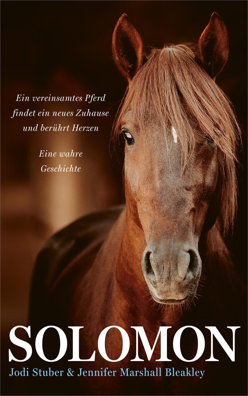 Buchcover: Solomon