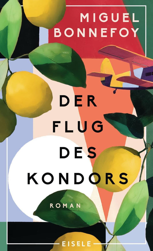 Der Flug des Kondors: Roman | Eine epische Familiengeschichte zwischen Chile und Frankreich voller erzählerischer Wucht | Bildgewaltiger magischer Realismus