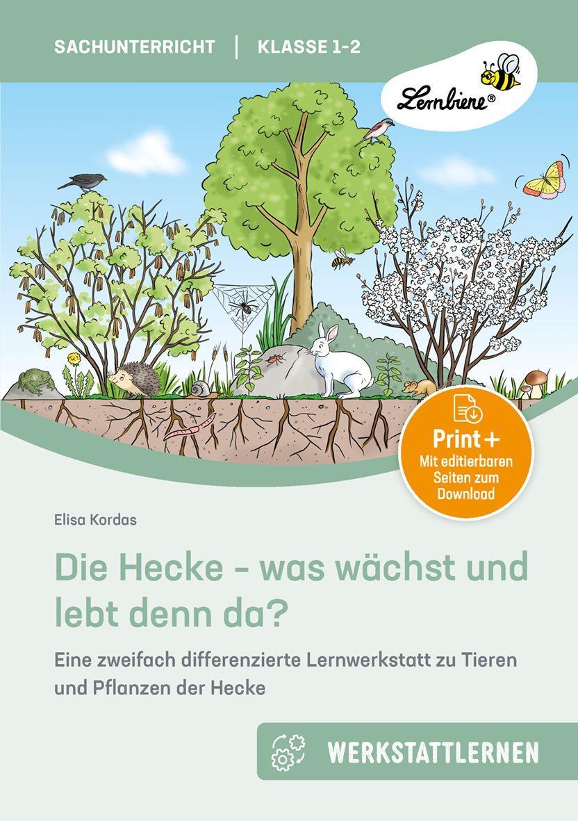 Die Hecke - was wächst und lebt denn da