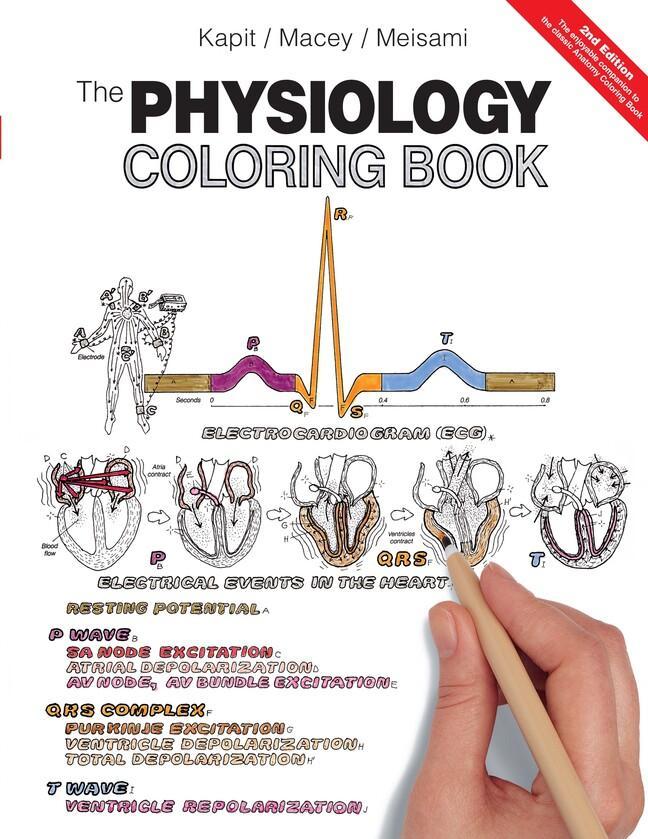 Buchcover: Physiology Coloring Book, The