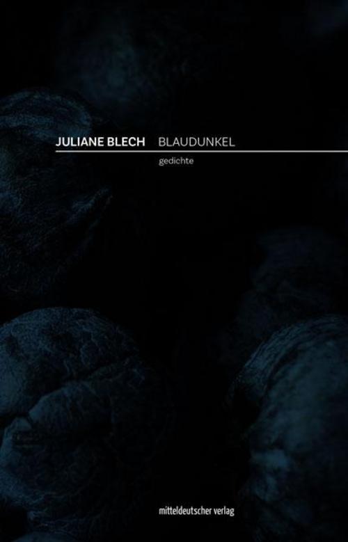 Blaudunkel