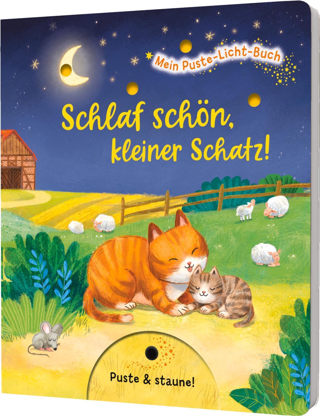 Mein Puste-Licht-Buch: Schlaf schön, kleiner Schatz!
