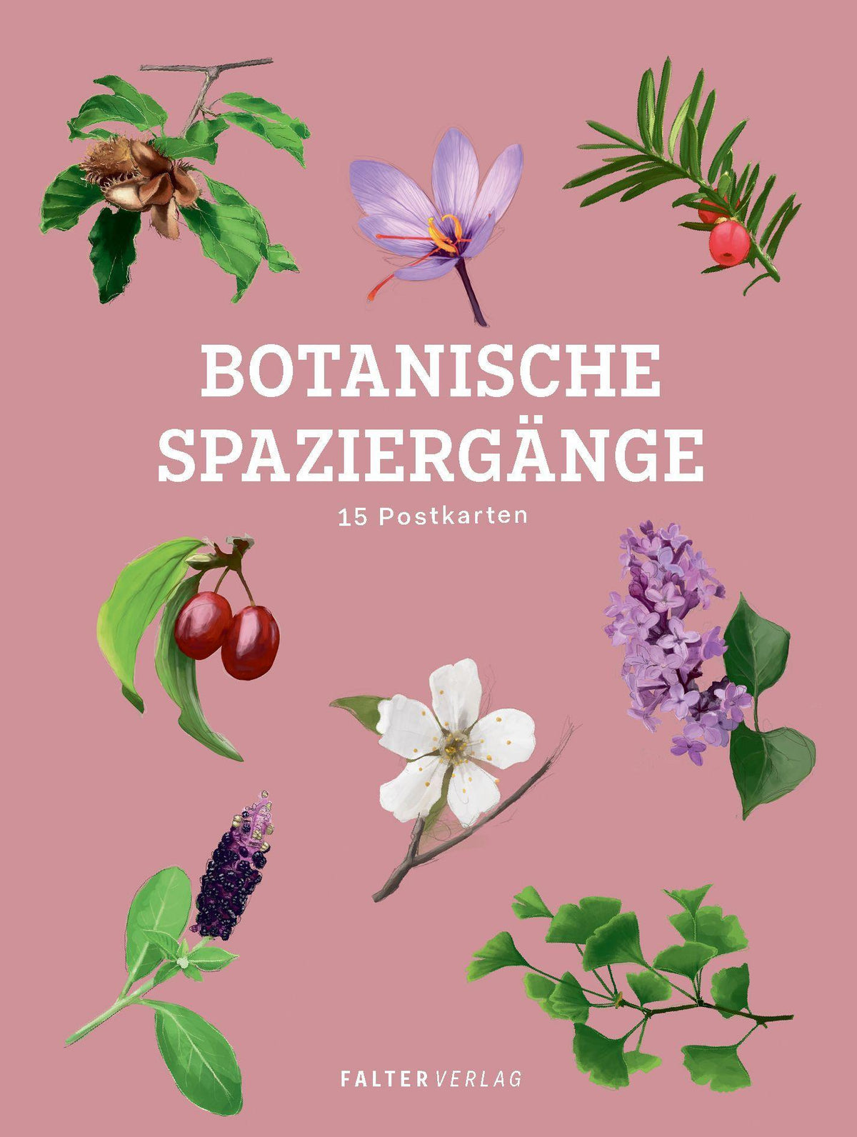 Buchcover: Botanische Spaziergänge - Postkartenbuch