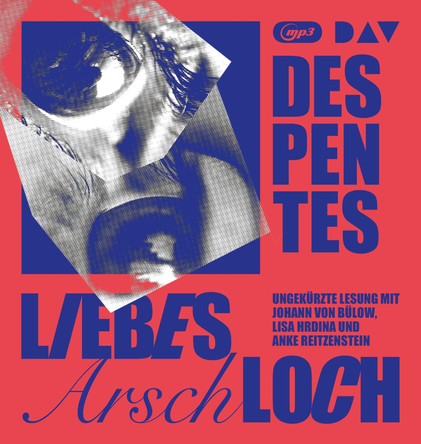 Liebes Arschloch,1 Audio-CD, 1 MP3