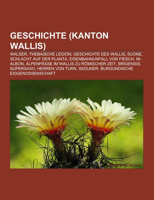 Buchcover: Geschichte (Kanton Wallis)
