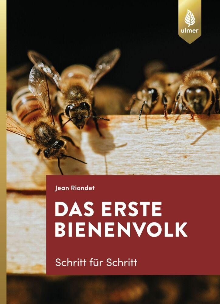 Buchcover: Das erste Bienenvolk - Schritt für Schritt