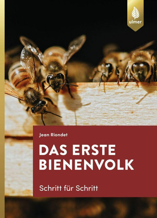 Buchcover: Das erste Bienenvolk - Schritt für Schritt