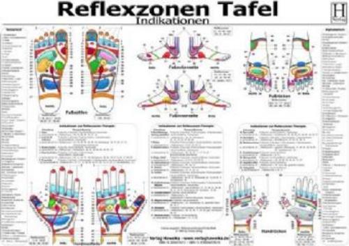 Buchcover: Reflexzonen Tafel. Indikationen. DIN A3