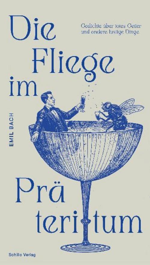 Die Fliege im Präteritum