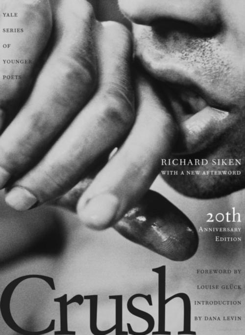 Buchcover: Crush