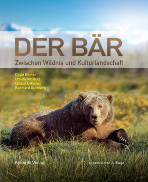 Buchcover: Der Bär