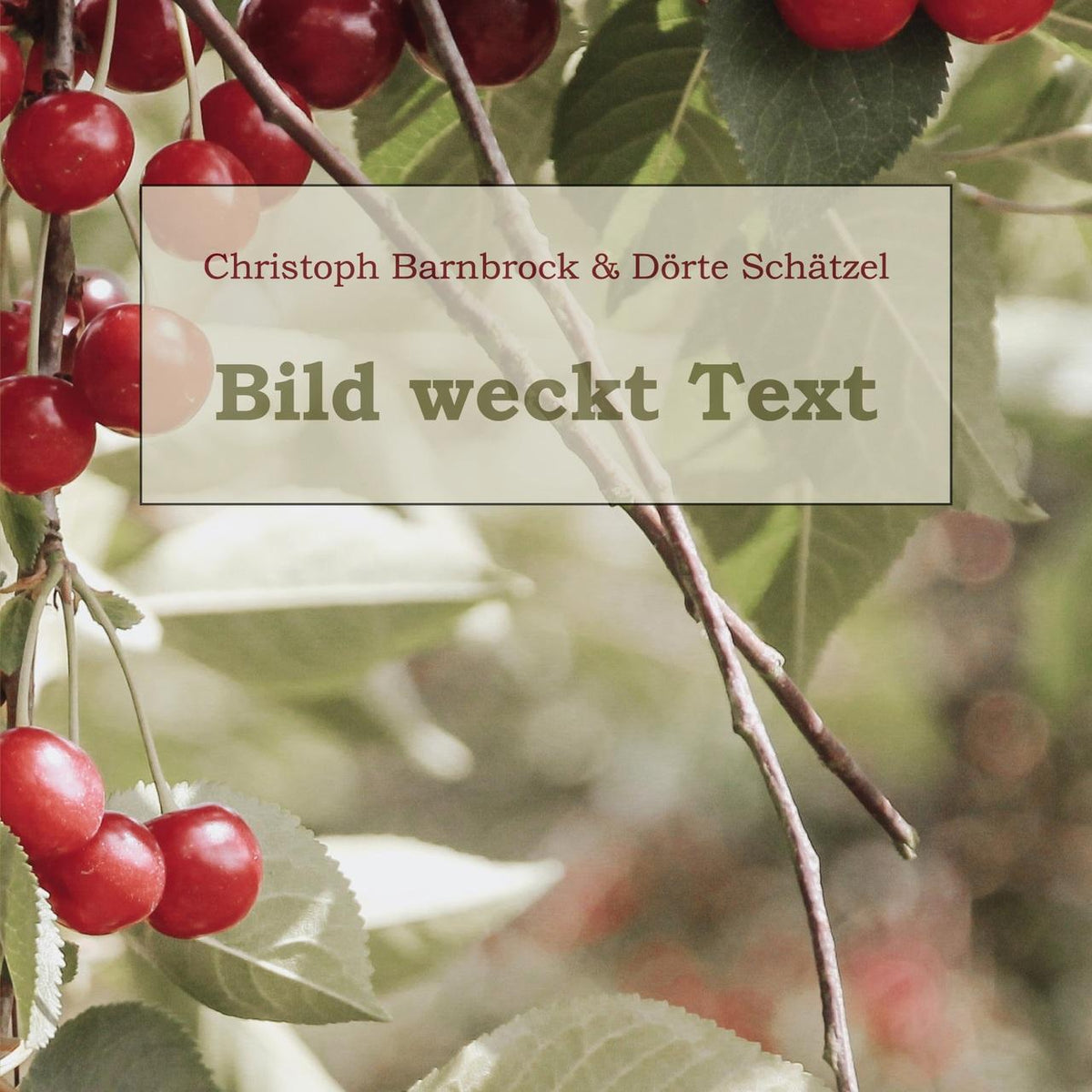 Buchcover: Bild weckt Text