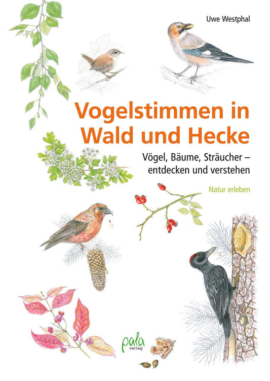 Buchcover: Vogelstimmen in Wald und Hecke